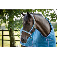 Produktbild von Bucas Halfter Dublin Blueberry für Ponys