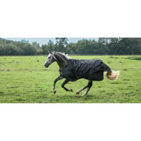Produktbild von Bucas Irish Turnout 0g Regendecke für Pferde Schwarz/Gold