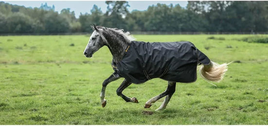 Bucas Irish Turnout 0g Wasserdichte Regendecke für Pferde in Schwarz-Gold – Bild 1 von 3