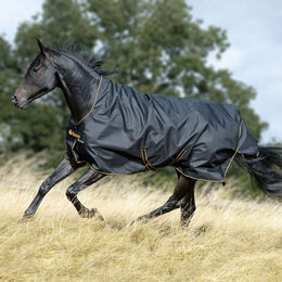 Bucas Irish Turnout High Neck Weidedecke für Pferde Schwarz/Gold 140 – Bild 1 von 6