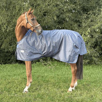 Produktbild von Bucas Irish Turnout Light 30g Big Neck Regendecke für Pferde in Blau
