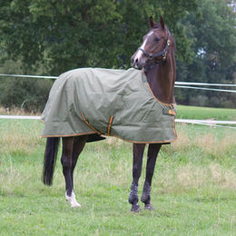 Bucas Irish Turnout Light 30g Big Neck Weidedecke für Pferde in Grün/Orange Größe 140 – Bild 1 von 1