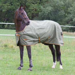 Bucas Irish Turnout Light 30g Regendecke für Pferde in Größe 145 Green/Orange – Bild 1 von 1
