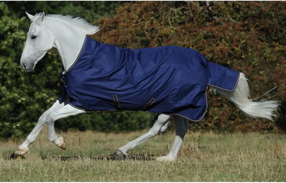 Bucas Irish Turnout Light Classic Weidedecke für Pferde 140cm navy/gold – Bild 1 von 6