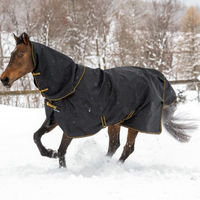 Produktbild von Bucas Irish Turnout Light Outdoordecke für Pferde 50g Schwarz/Gold