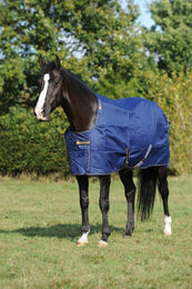 Bucas Irish Turnout Light Weidedecke für Pferde 165 cm Navy Gold – Bild 1 von 6