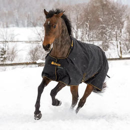 Bucas Irish Turnout Light Weidedecke für Ponys in Schwarz/Gold mit 50g Füllung – Bild 1 von 6
