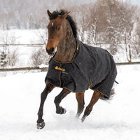 Produktbild von Bucas Irish Turnout Light Weidedecke für Ponys in Schwarz/Gold mit 50g Füllung