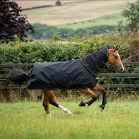 Produktbild von Bucas Irish Turnout Medium 150g Weidedecke mit Neck Set in Größe 115 Schwarz/Gold