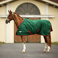 Produktbild von Bucas Irish Turnout Medium Pferdedecke aus Polyester in Grün 145 cm - 100 g