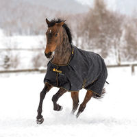 Produktbild von Bucas Irish Turnout Medium Pferdedecke aus Polyester Schwarz Gold