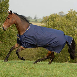Bucas Irish Turnout Weidedecke für Pferde 150g Navy/Gold Grösse 155cm – Bild 1 von 7