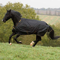 Produktbild von Bucas Irish Turnout Weidedecke für Pferde Schwarz/Gold Größe 165 mit 150g Füllung - 1 Stk.