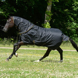 Bucas Irish Turnout Weidedecke mit Halsteil in Schwarz/Gold Größe 155 mit 300g Füllung – Bild 1 von 1