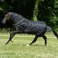 Produktbild von Bucas Irish Turnout Weidedecke mit Halsteil in Schwarz/Gold Größe 155 mit 300g Füllung