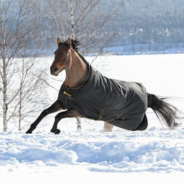 Bucas Irish Turnout Winterdecke für Pferde in Schwarz-Gold aus Polyester - 250 g – Bild 1 von 3