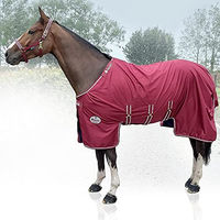 Produktbild von Bucas Jubilee X-Range Turnout Light Pferdedecke aus Polyester in Rot 120
