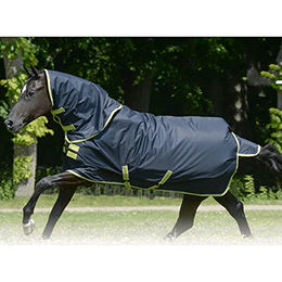 Bucas Oasis Turnout 100g Pferdedecke mit Halsteil in Dunkelgrau/Grün Größe 145 - 1 Stk. – Bild 1 von 3