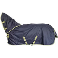 Produktbild von Bucas Oasis Turnout 200g Outdoor-Pferdedecke mit Nackenrolle in Grau 165 cm