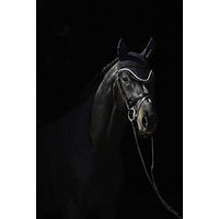 Produktbild von Bucas Ohrenhaube für Pferde Navy/Gold