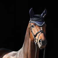 Produktbild von Bucas Ohrenhaube für Pferde Navy/Silver