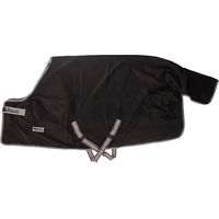 Produktbild von Bucas Outdoor-Decke für Pferde in Schwarz - 150 g
