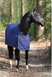 Produktbild von Bucas Panel Prize Cooler Outdoor-Pferdedecke in Schwarz und Blau