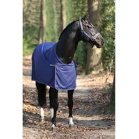 Produktbild von Bucas Panel Prize Cooler Outdoor-Pferdedecke in Schwarz und Blau