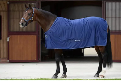 Bucas Power Cooler Outdoor-Pferdedecke aus Polyester in Schwarz und Blau – Bild 1 von 2