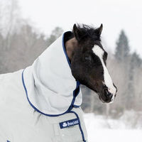 Produktbild von Bucas Power Turnout Combi Neck Halsteil für Pferde in Silber aus ballistic Material