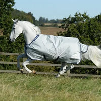 Produktbild von Bucas Power Turnout Combi Neck Outdoor-Pferdedecke 300g Silber