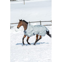 Bucas Power Turnout Extra High Neck Weidedecke für Pferde in Silber 165cm – Bild 1 von 5