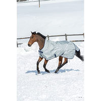 Produktbild von Bucas Power Turnout Extra High Neck Weidedecke für Pferde in Silber 165cm