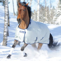 Produktbild von Bucas Power Turnout Light Big Neck Pferdedecke Silber Größe 130