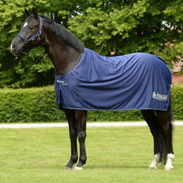 Bucas Prize Cooler Abschwitzdecke Gold Navy 135 – Bild 1 von 1