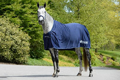 Produktbild von Bucas Prize Cooler Promo-Decke Blau 140/191 cm