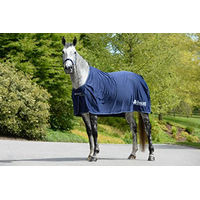 Produktbild von Bucas Prize Cooler Promo-Decke Blau 140/191 cm