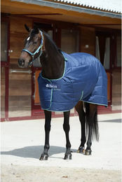 Bucas Quilt Stalldecke für Pferde Big Neck Navy Blau – Bild 1 von 7