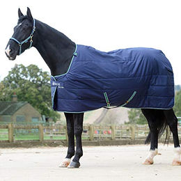 Bucas Quilt Unterdecke für Pferde Navy Blau 300g - 300 g – Bild 1 von 8