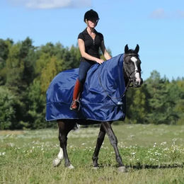 Bucas Rain Protector Outdoor-Decke für Pferde aus Nylon in Blau Größe L – Bild 1 von 5