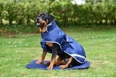 Bucas Recuptex Therapy Hundematte Größe M aus Stoff – Bild 1 von 2