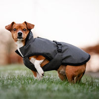 Produktbild von Bucas Reflectglow Hundedecke Größe 25