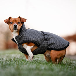 Bucas Reflectglow Hundedecke Größe 75/85 – Bild 1 von 1