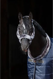 Bucas Show-Line Halfter für Pferde in XL – Bild 1 von 3