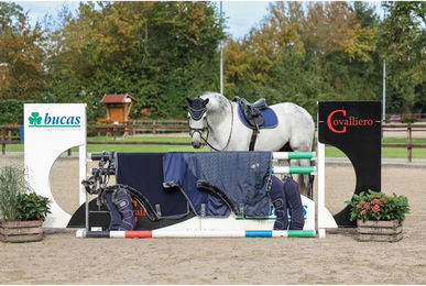 Bucas Show-Line Stalldecke für Pferde mit 150g Füllung in Blau oder Grau – Bild 1 von 2