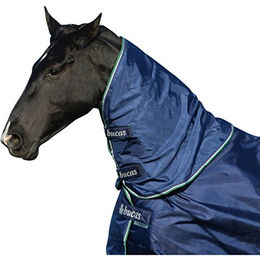 Bucas Smartex Combi Neck Pferdedecke Blau Größe L – Bild 1 von 13