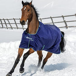 Bucas Smartex Rain Pferdedecke Light Blau Größe 165 – Bild 1 von 6