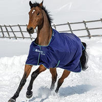 Produktbild von Bucas Smartex Rain Pferdedecke Light Blau Größe 165