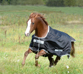 Bucas Smartex Rain Regendecke für Pferde Schwarz 115 cm aus Vlies – Bild 1 von 1