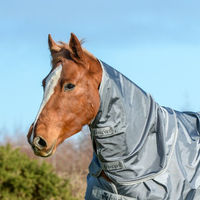 Produktbild von Bucas Smartex Turnout Combi Neck Pferdedecke mit Halsteil in Iron Gate Grau aus Ballistic Material Größe XXL